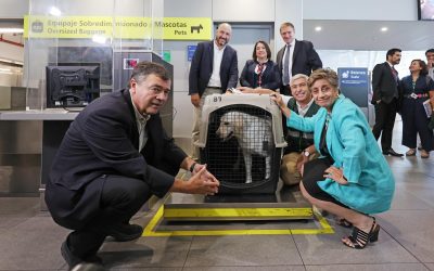 MOP, Minagri y Nuevo Pudahuel refuerzan recomendaciones ante aumento de viajes con mascotas en el Aeropuerto de Santiago