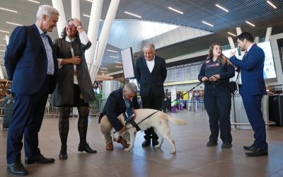 MOP informa que en Fiestas Patrias más de 710 mil personas viajarán por el Aeropuerto de Santiago: Mayores flujos se registrarán mañana y el domingo